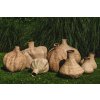 BAZAR BIZAR The Garlic Basket - Natural - 50 úložný kôš