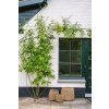 BAZAR BIZAR The Lang Co Basket - Natural - M úložný kôš
