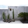 BAZAR BIZAR The Funky Vase - Antique Grey - M váza