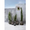 BAZAR BIZAR The Funky Vase - Antique Grey - M váza