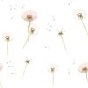 DEKORNIK Dandelions