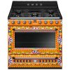 15330 smeg dolce gabbana plynovy sporak tr90dgcd9 mix 5 rocna zaruka zdarma