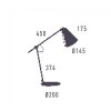 AROMAS DEL CAMPO Boa S1193/NEG