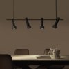 AROMAS DEL CAMPO Focus C1279/4/ANTRACITA