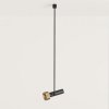 AROMAS DEL CAMPO Focus C1279/1