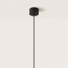 AROMAS DEL CAMPO Lota C1235/NEG