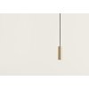 AROMAS DEL CAMPO Maru C1194/ORO