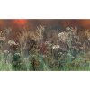 53820 1 vladila bright greenery nightfall tapeta