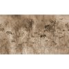 53826 1 vladila bright greenery sepia tapeta