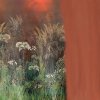 53868 2 vladila bright greenery fade tapeta