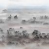 53892 2 vladila foggy landscape pastels tapeta