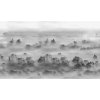 53895 1 vladila foggy landscape grey tapeta