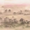53898 2 vladila foggy landscape peach tapeta