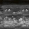 53901 2 vladila foggy landscape nightview tapeta