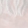 53904 2 vladila soft feathers tapeta