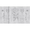 54159 1 vladila glycine pointe seche tapeta