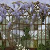 54570 2 vladila greenhouse escape tapeta