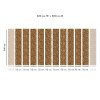 54585 3 vladila farfugium tapeta