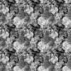 54723 2 vladila bw flowers tapeta