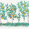 54774 2 vladila citrus garden tapeta