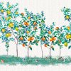 54774 3 vladila citrus garden tapeta