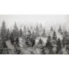 54855 1 vladila rivian forest charcoal tapeta