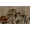 54867 1 vladila old fungarium tapeta