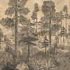 54882 2 vladila taiga sepia tapeta