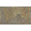 55029 1 vladila marame apus tapeta