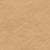 55605 2 vladila camel leather tapeta