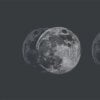 55620 2 vladila celestial goddess tapeta