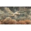 55641 1 vladila fractus grunge rose tapeta