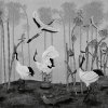 55845 3 vladila red crown sanctuary in monochrome tapeta