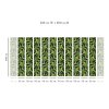 55902 3 vladila banana leaf tapeta