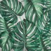 55926 3 vladila green philodendron tapeta